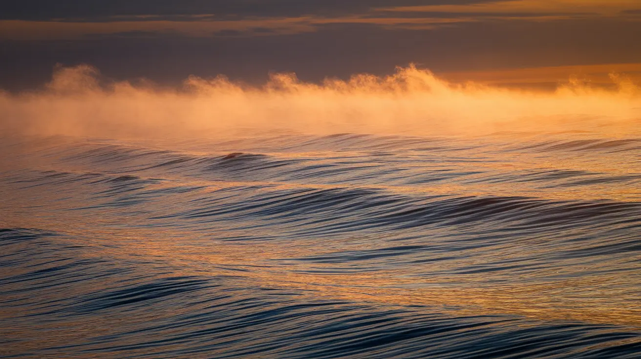 Avatar of Michael B.